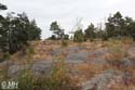 39-IMG_7794