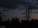 72-DSCN4217