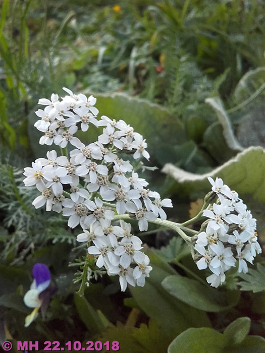 20181022_175343