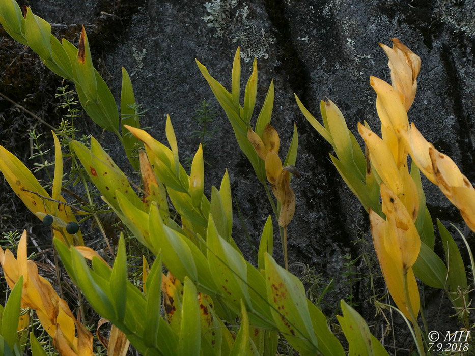 P1030154