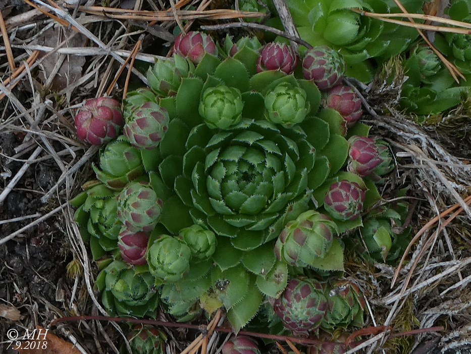 P1030184
