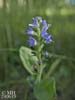 P1220235