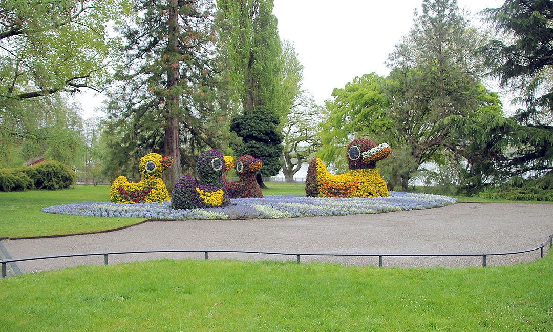 005 Mainau-Saksa