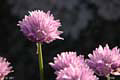 052-DSCN6700