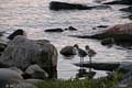 060-DSCN6729