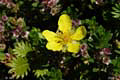 105-DSCN6796