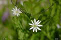 108-DSCN6803