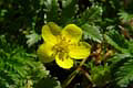 128-DSCN6873