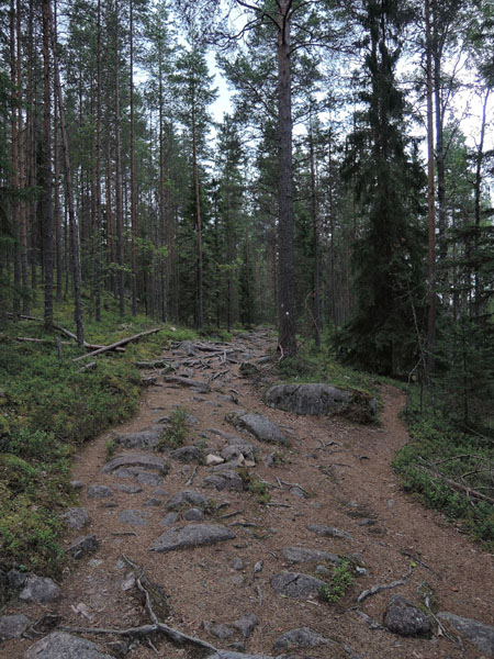 254-DSCN9718