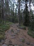 254-DSCN9718