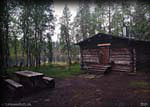 010-Puikkokamppa