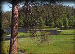 086-Kitkajoki-Venaanniemi
