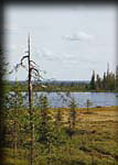114-Iso-Kuikkalampi