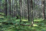 290-IMG_2523
