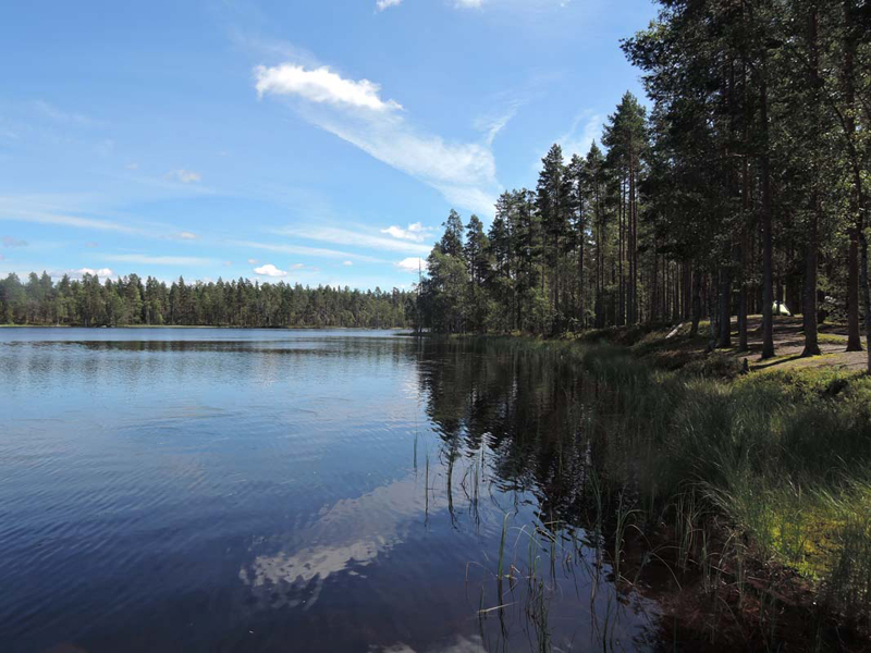 057-DSCN9471