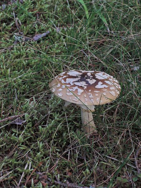 123-DSCN9532