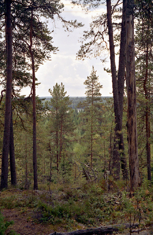 05-Nakoalakukkulalla