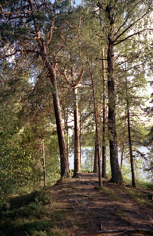 07-Kyynarharjulla