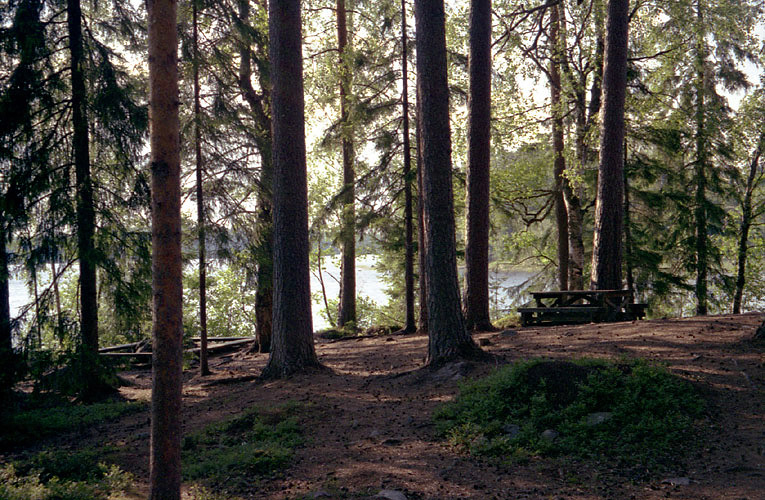 10-Savilahti-1