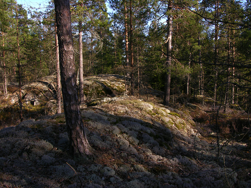 DSCN5270