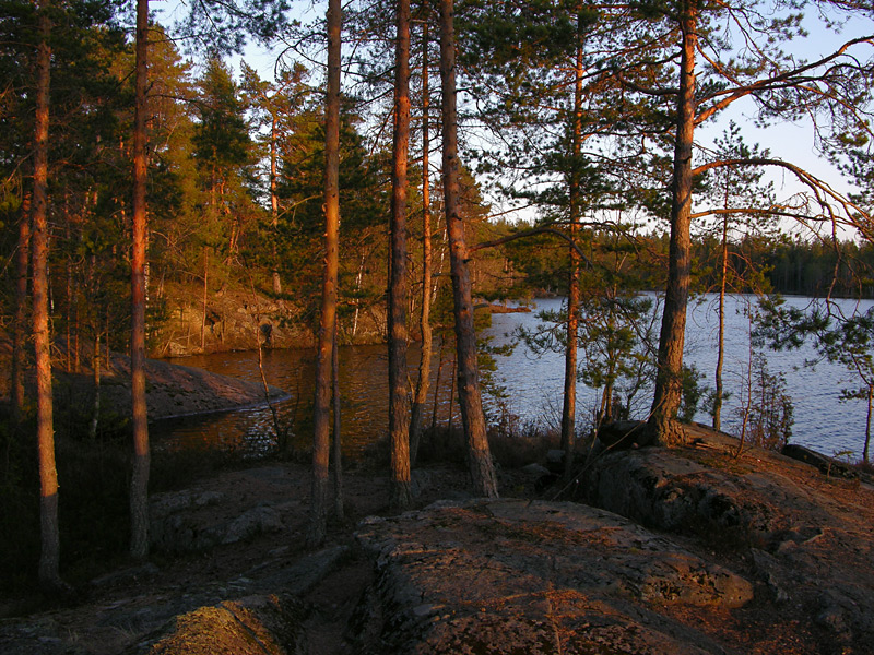 DSCN5283