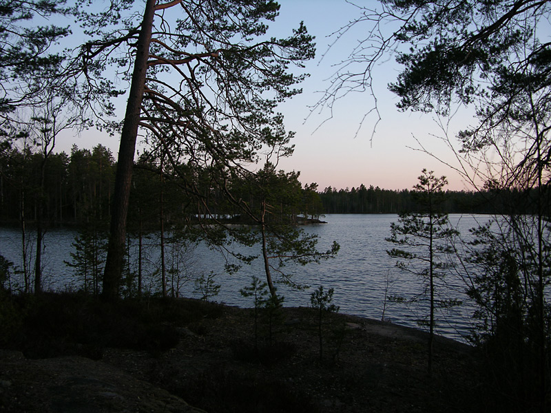 DSCN5290