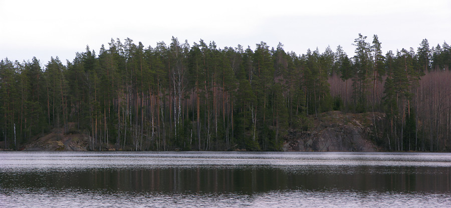 DSCN5331