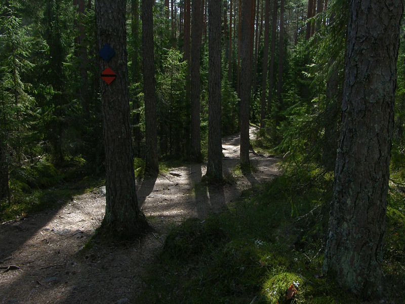 DSCN5377
