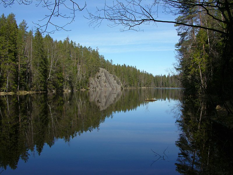 DSCN5390