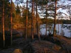 DSCN5283