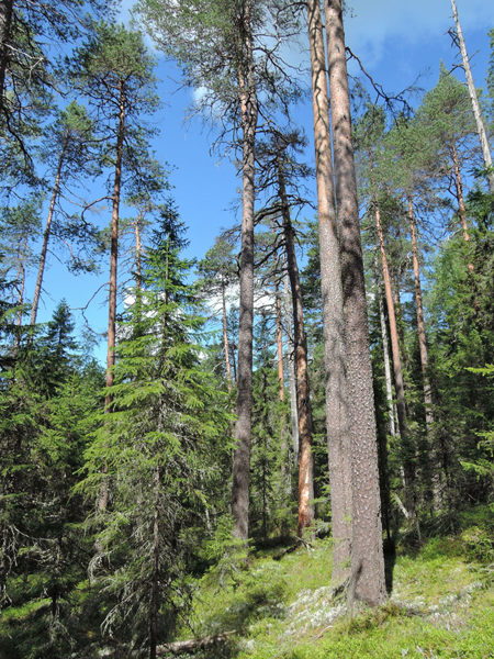 212-DSCN9681