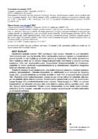 13-Sotaviskaalintie-3