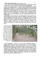 4-Kaivomaki-2