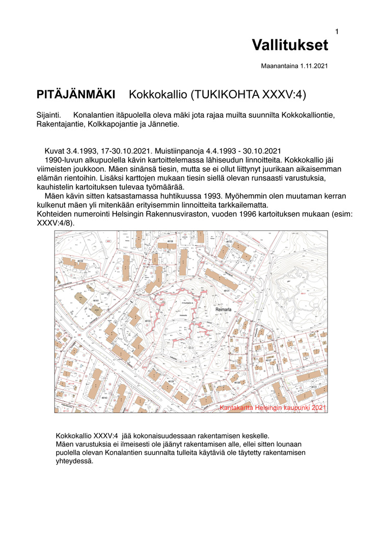 4 Kokkokallio 2021-1