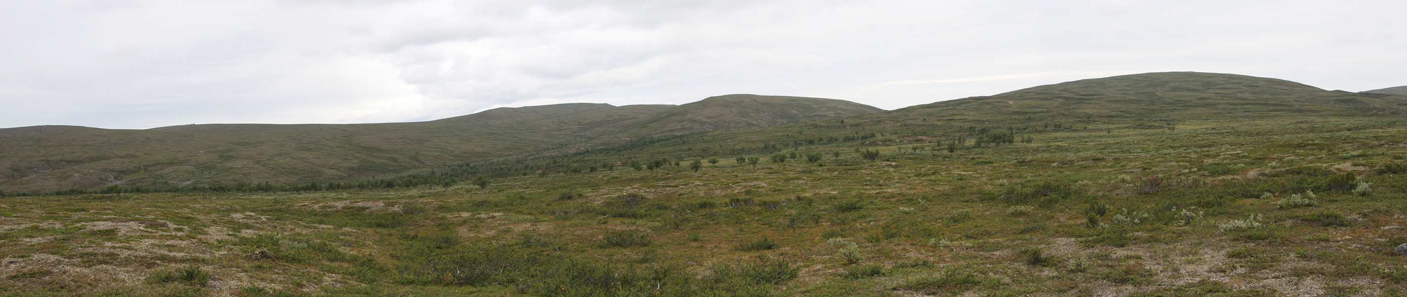025-Muotka-2013