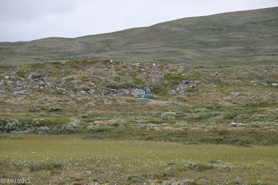 030-Muotka-2013