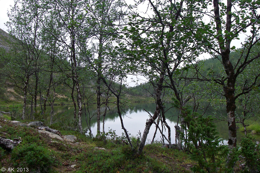 046-Muotka-2013