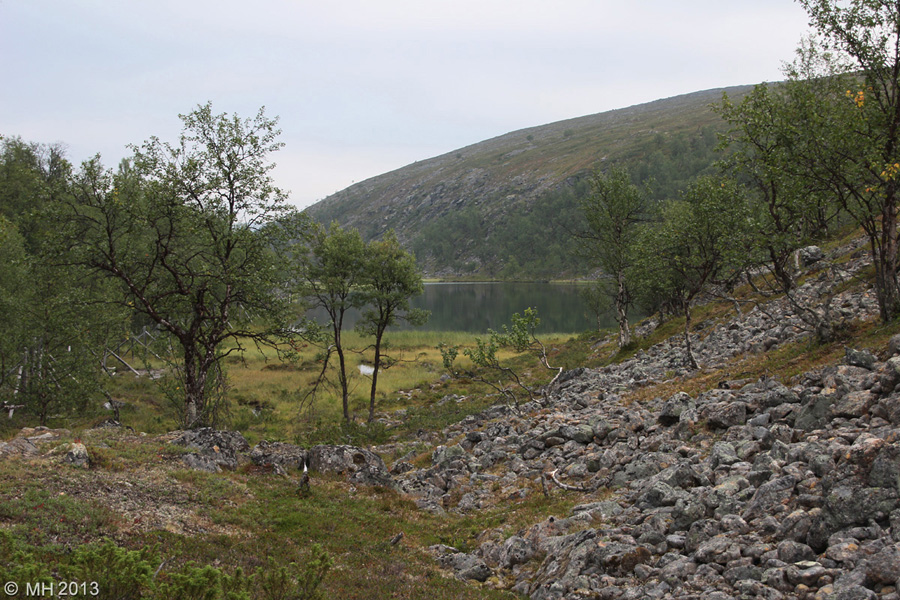 047-Muotka-2013