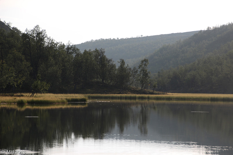 053-Muotka-2013