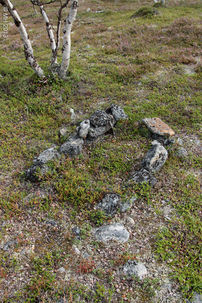 060-Muotka-2013
