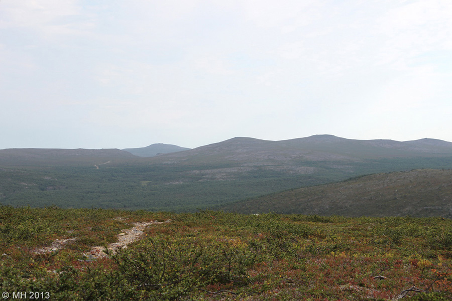 064-Muotka-2013