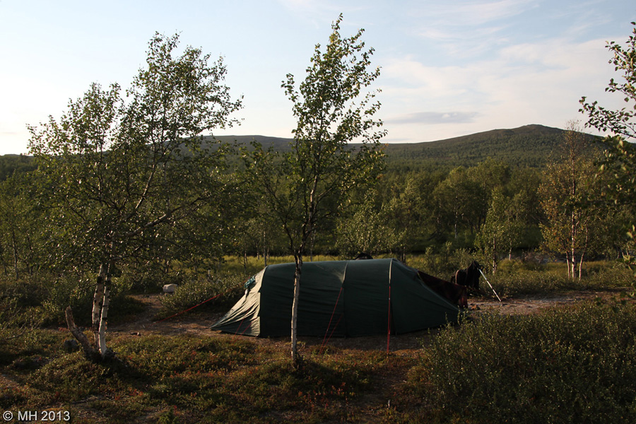 065-Muotka-2013