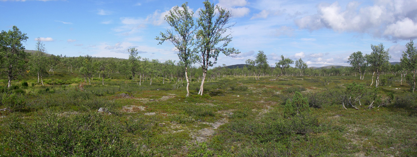 072-Muotka-2013