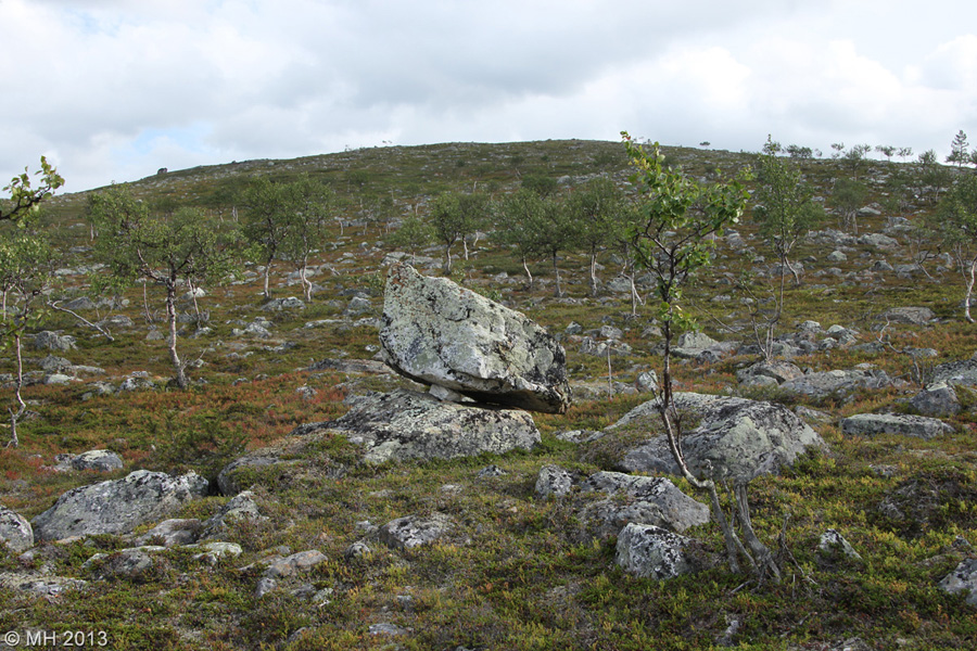 074-Muotka-2013