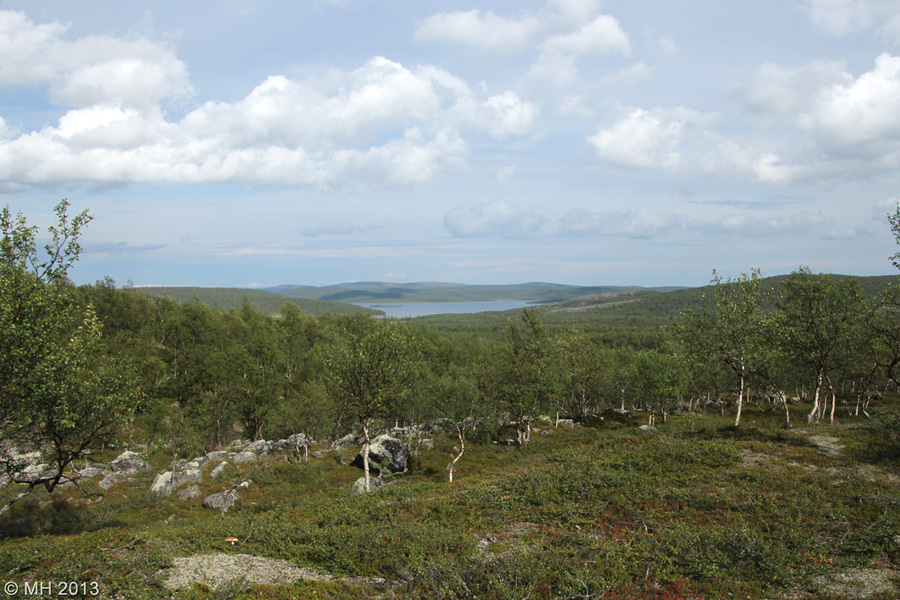 075-Muotka-2013