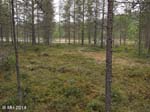 018-10